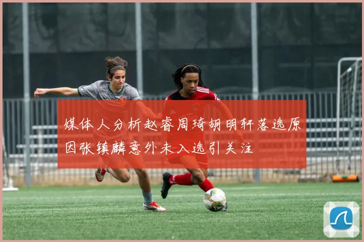媒体人分析赵睿周琦胡明轩落选原因张镇麟意外未入选引关注